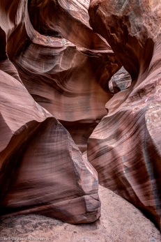 Arizona, Navajo Nation | Water Holes Canyon